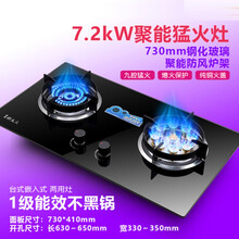 好太太煤气灶家用双灶台式嵌入式燃气灶两用天然气液化气猛火炉具 7.2KW鸳鸯灶+熄保+防爆面板 液化气
