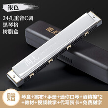 国光口风琴 24孔复音 重音C调初学者中老年人成人儿童学生专业演奏级入门口风琴乐器 星空银|纪念版-重音24孔+自学礼包+视频教程