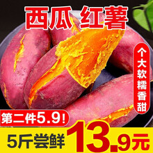 【2021新货】新鲜红薯沙地糖心蜜薯农家番薯地瓜软糯香甜 9-10斤装