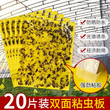 【强力】20张黄板双面粘虫板诱虫板沾虫纸贴黄色沾室内花草小飞虫蓟马灭果蝇粘板菜地果园田地大棚粘蝇贴 黄色25*20尺寸20张