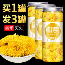 怀棂菊菊花茶夏季秋季安徽省黄山特级灵怀菊茶灵