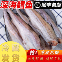 【顺丰速递】深海鳕鱼去头去内脏鳕鱼块明太鱼海水鱼鳕鱼狭鳕鱼无冰衣 十字丽日 10斤装(净重无冰衣)