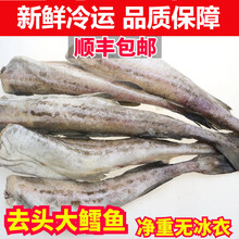 顺丰速运 鳕鱼新鲜海鲜水产鲜活冷冻无头鱼银狭鳕鱼明太鱼新鲜 锦蜜姬 【三斤】家庭装