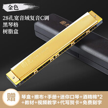国光口风琴24孔复音 重音C调初学者中老年人成人儿童学生专业演奏级入门口风琴乐器 璀璨金|宽音域-复音28孔+自学礼包+视频教程