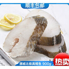 鳕深海海鲜鳕鱼排新鲜冷冻大西洋真鳕鱼辅食雪鱼 腾旺纳跃 900g