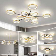 vvs美学灯灯饰北欧轻奢灯具套餐家用led吸顶灯客厅灯造型创意金色蝶翼卧室灯餐厅灯全屋灯具组合 大三室两厅无极调光 包安装到手价3388