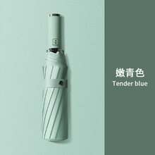 零时差雨伞 自动雨伞16骨大号三人加固加厚晴雨两用男女抗风暴雨定制 12骨加固小号嫩青-加厚黑胶(105cm)