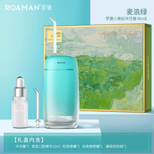 罗曼冲牙器水牙线便携式家用洗牙器牙齿口腔清洁洗牙正畸专用 梵高艺术限定款?麦浪绿