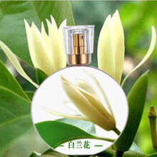 白兰花香水 价格 图片 品牌 怎么样 京东商城