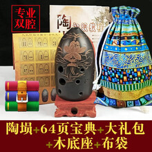 演奏陶埙初学普及10孔专业十孔黑陶埙F调G调笔筒民族乐器 专业八孔埙+套餐3