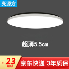 亮源方 LED吸顶灯过道灯圆形超薄节能灯具客厅灯卧室灯厨房卫生间走廊阳台灯餐厅灯饰 超薄纯白款 白光 12W 直径21CM