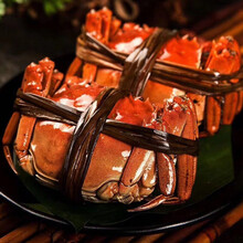 【活蟹】大闸蟹特大鲜活淡水公母蟹六月黄大螃蟹海鲜水产蟹类 普米加罗 六月黄(1.8-2.2两)16只