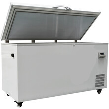 驰恩诚冷柜商用超低温冷柜-65度 DW65WJ170