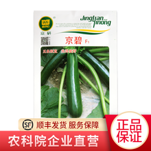 北京农科院京研京珠玉珠2号京葫2号西葫芦杂交一代种子四季蔬菜非转基因种籽家庭园艺休闲室内外 西葫芦京碧10克