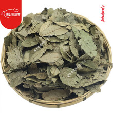 古普道青钱柳茶 大叶子茶金钱柳养生茶(加急发货) 500g