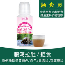 乌龟药通用护龟宝液腐皮烂甲肺炎白眼病专用疾病治疗消毒 肠炎灵100ml