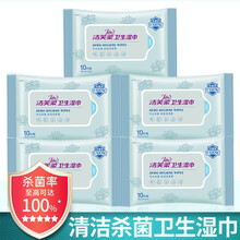 洁芙柔（JIFRO）卫生湿巾 家庭杀菌抑菌宝宝玩具无香便捷装 不粘手10片/包 10片*5包