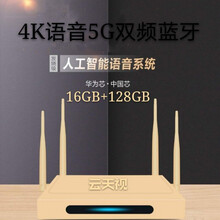 4K网络机顶盒5G双频wifi蓝牙语音高清播放器电视盒子家用通 4k语音8.核16G+128G蓝牙5G