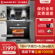 樱花（SAKURA）002C19集成灶蒸烤箱一体灶下排式家用自动清洗集成灶 002C19【烟灶蒸烤四合一】液化气