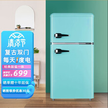德姆勒（DEMULLER）复古冰箱冷藏冷冻冰箱小型双开门小冰箱家用租房静音强劲速冷节能省电彩色网红 【十年质保】118升蒂芙尼蓝