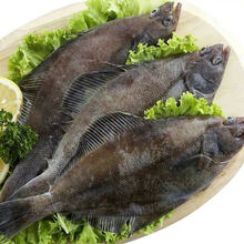 鲽鱼新鲜整条带头去内脏鸦片鱼速冻生鲜 桃西村 每条600-800g【去内脏净重】 一条