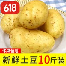 2020新鲜黄皮土豆10斤现挖马铃薯农家黄心土豆农家5 带箱9.5斤