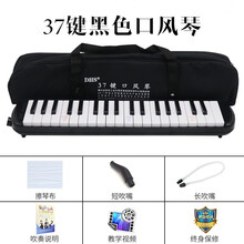 DHS口风琴37键32键小学生用口风琴儿童专业演奏级初学者吹管乐器 32键黑色+全套赠品 37键黑色+全套赠品