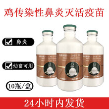 鸡传染性鼻炎灭活苗嗜血杆菌A型鼻炎疫苗沃华鸡疫苗 沃华AC二价鼻炎一瓶价格