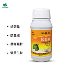 沃德伊诺 矮壮素矮化剂 水稻小麦蔬菜植物果树多肉控制疯长植物生长调节剂 500克/瓶*20瓶/箱