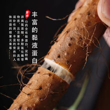 焦作温县铁棍山药正宗怀山药铁杆山药新鲜蔬菜河南特产 粉糯香甜 5斤温县铁棍实惠装40-50