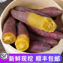 爵妃 3/5斤临安天目山小香薯新鲜红薯正宗板栗沙地番薯 5斤 中果