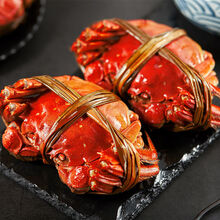 大闸蟹 鲜活特大公母蟹螃蟹六月黄现货礼盒装海鲜水产 罗菲迪新 【大蟹10只装】3.0-3.5两