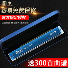 国光口琴演奏级28孔重音德国进口音簧28孔复音C调初学者入门成人演奏乐器 【演奏级】28孔复音亮光蓝+学习资料