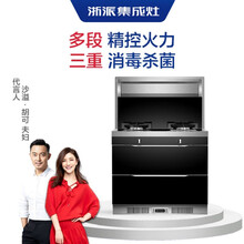 浙派（ZHEPΛi）90ZP2集成灶 大吸力烟机燃气灶消毒柜一体灶 近/侧吸下排 天然气