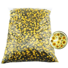 菊花茶胎菊王茶叶杭州泡茶贡菊散装正宗桐乡杭白菊花草茶500一斤 100g(两份送杯)