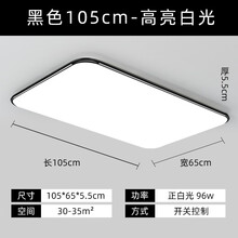 索上（SUOSHANG）客厅灯饰吸顶灯led新款卧室房间灯现代简约厨卫灯长方形灯具超亮 105*65cm-96W-白光