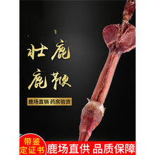 鹿鞭鹿茸】价格_鹿鞭鹿茸图片- 京东