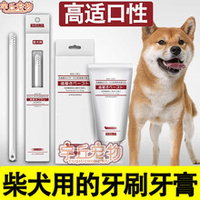 柴犬专用幼犬狗狗可食用牙刷牙膏套装软毛去牙垢牙结石除口臭气用的口腔 单只牙膏