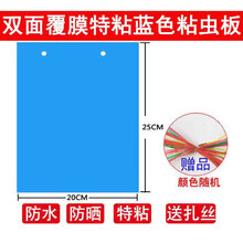 溪沫 双面加厚特粘诱虫蓝板粘虫板黄板果园茶园大棚家用等灭多种小飞虫 50张双面覆膜加厚特粘蓝色20x25