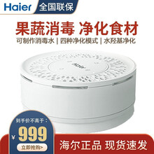 海尔（Haier）果蔬清洗机解毒机食材净化机家用洗菜机 10L大容量