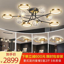 晶致黑金美学灯【套餐包安装】客厅灯简约现代灯具满天星轻奢吸顶灯北欧风网红三室两厅全屋灯饰语音+遥控 套餐8：三室两厅无极遥控【包安装到...