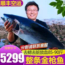 渔人百味金枪鱼新鲜金枪生鲜鱼整条16-100斤金枪鱼头鱼脖子下巴鱼眼南方蓝旗大目刺身海鲜冷冻黄旗 金枪鱼整条85-90斤
