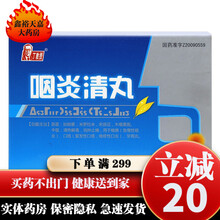 丁教授 咽炎清丸0.3g*40丸 1盒装