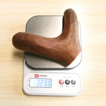 【整枝鹿茸】驿鹿吉林双阳头茬鲜鹿茸整枝切段连刀切血片含腊粉片新鲜鹿茸整支 321.1g鹿茸