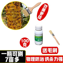 2021新款果蝇诱捕器 瓜果实蝇诱粘剂果园昆虫诱捕剂胶针锋引诱剂杀果蝇药诱捕器粘虫板 浓缩加强胶100g可刷7亩地