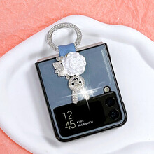 #RemHtml($!{product.content.wareName})