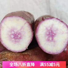 广东现挖冰淇淋红薯农家种植一点红番薯粉糯香甜花心板栗白薯紫薯 5斤中果【蒸烤皆可】