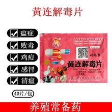 鸡药片黄连解毒片兽用兽药鸽子鸭鸡鹅发烧精神呆瘫小禽抗病毒 黄连解毒片
