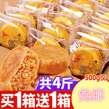 肉松饼面包整箱网红好吃的排行榜休闲食品绿豆心零食小吃  共500g1箱(原味肉松饼250g