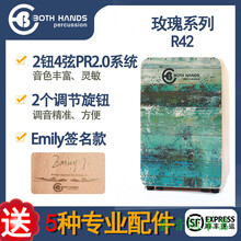 BH箱鼓卡宏鼓卡洪玫瑰PLUS手鼓肖恩签名欧标加大专业电声鼓 玫瑰R42 Emily 签名款